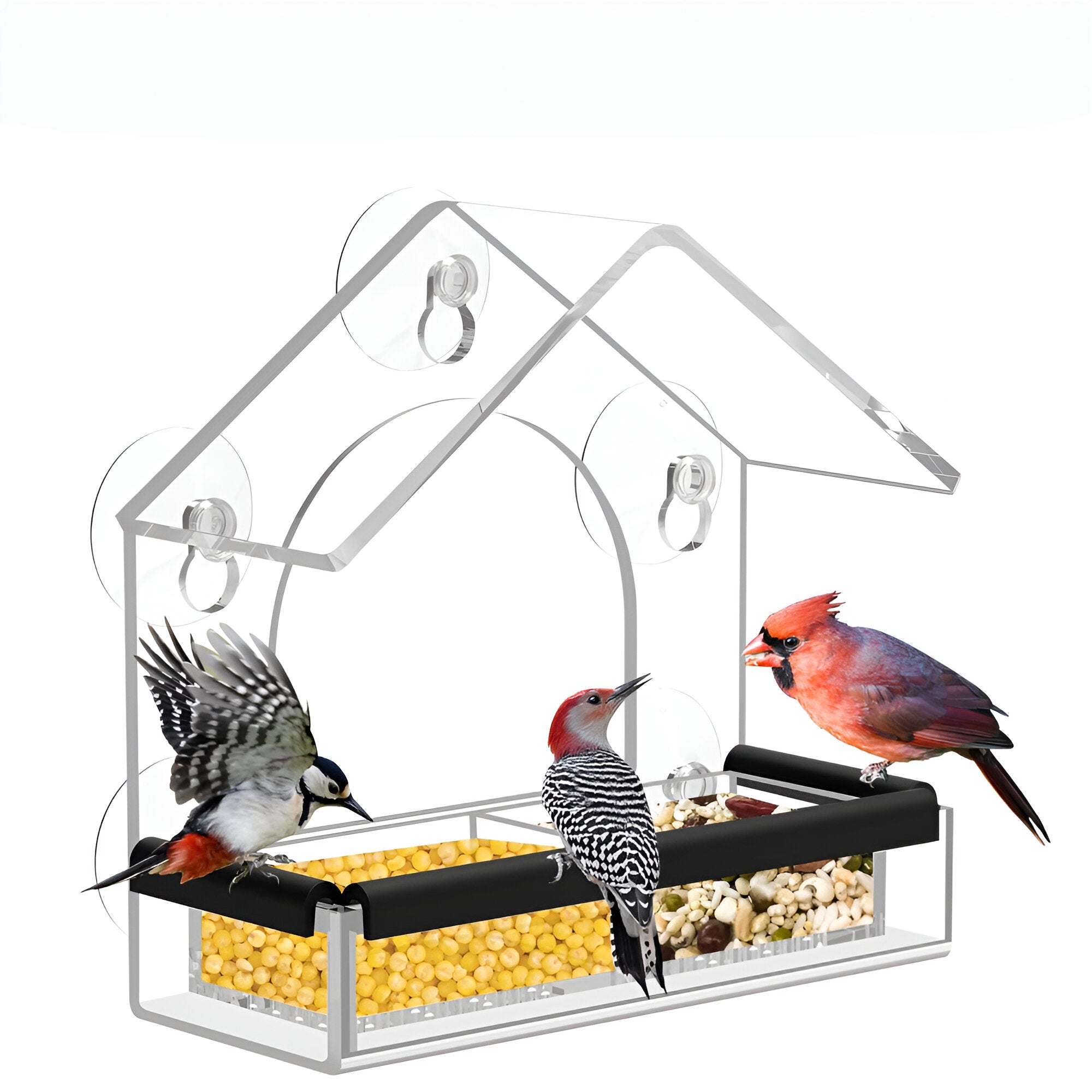 Acryl Vogelhaus Fenster Wetterfest Transparent