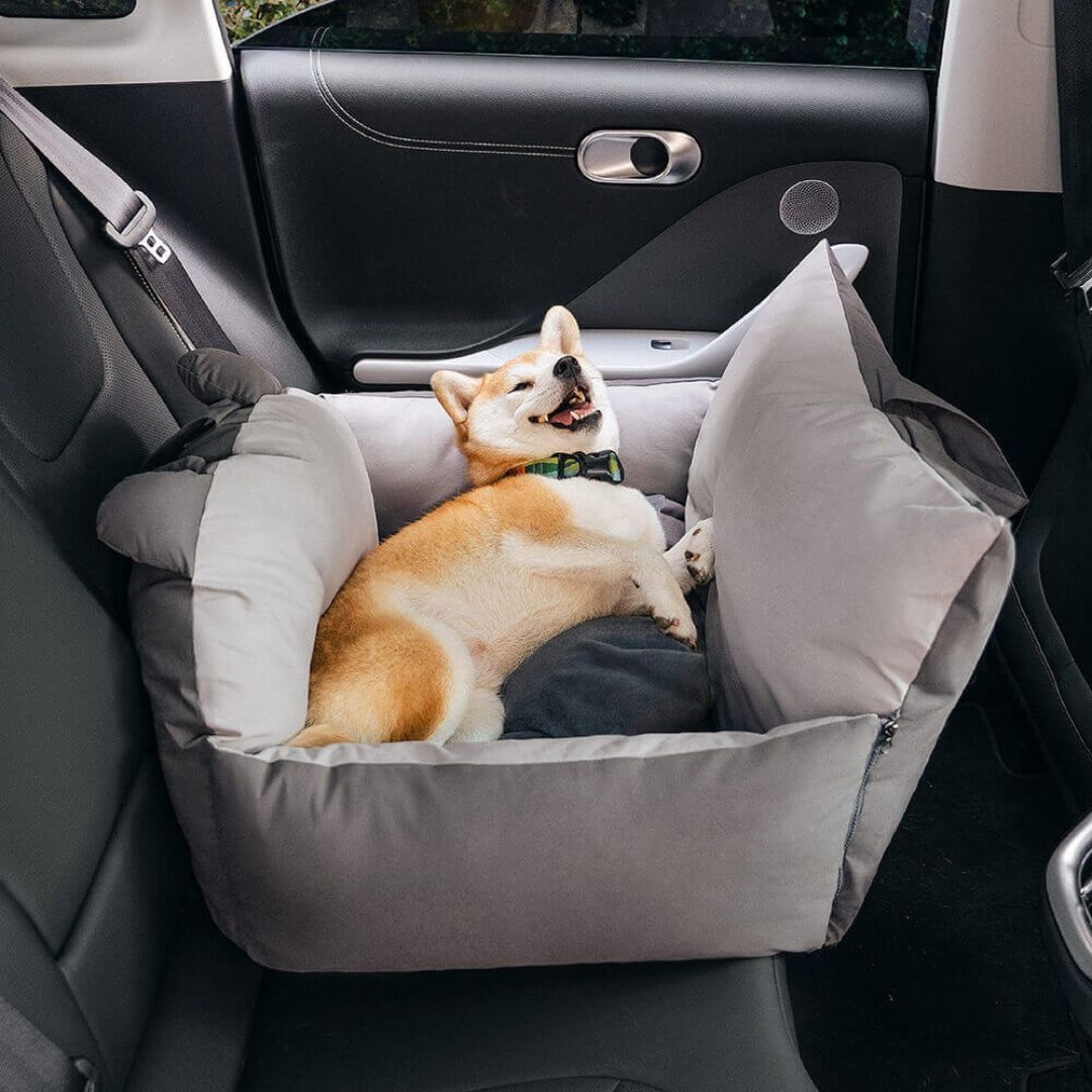 Hund Autositz | Hundesitz für die Rückbank | Hundetransportbox | Hundebox