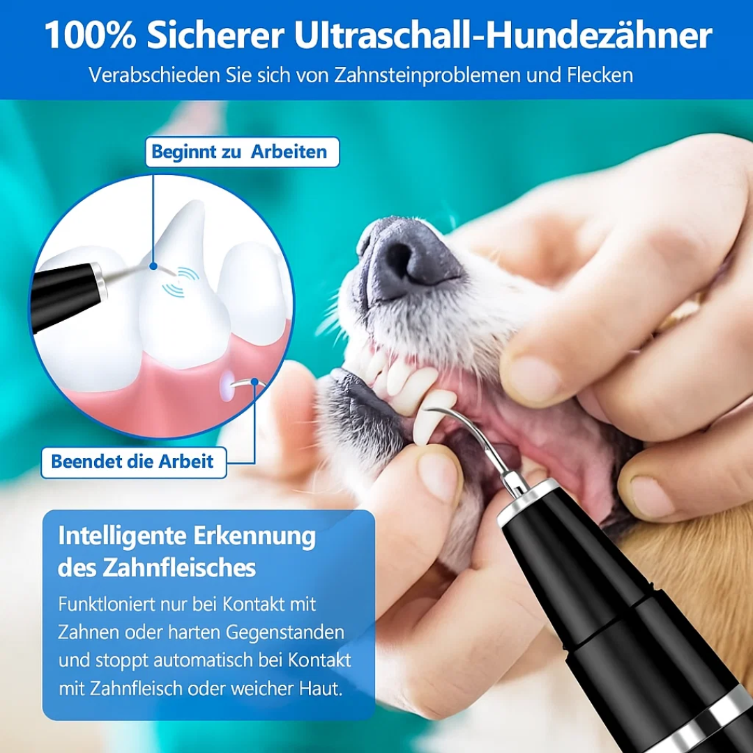Zahnstein von Hunden & Katzen entfernen | Zahnpflege für Haustiere | Zahnreiniger | PlaqueFree